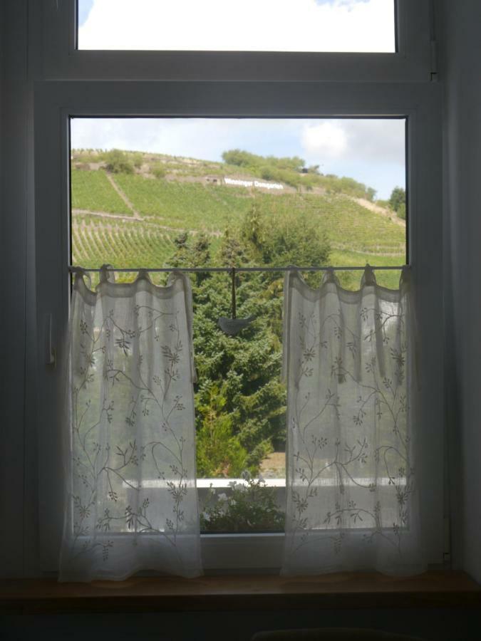 Altes Weingut Weinhaus Rebstock Apartamento Winningen Exterior foto